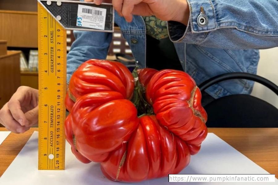 fruitImages/6.21 Sonin 2025B.jpg